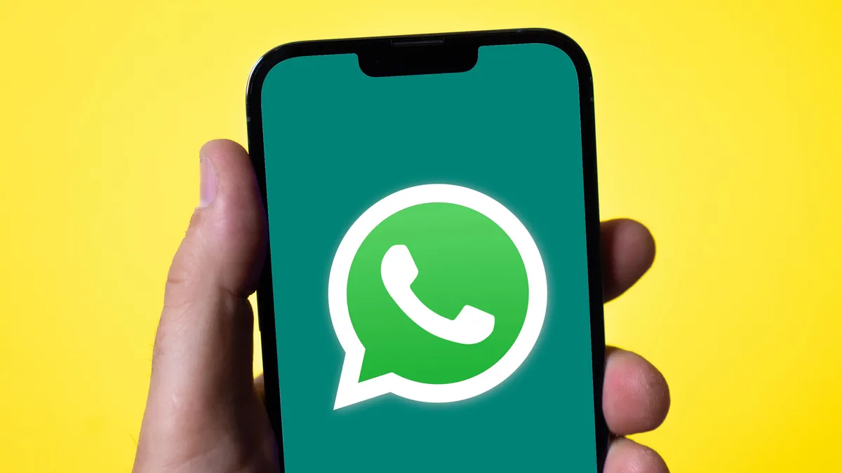 WhatsApp过滤器的目的是什么?